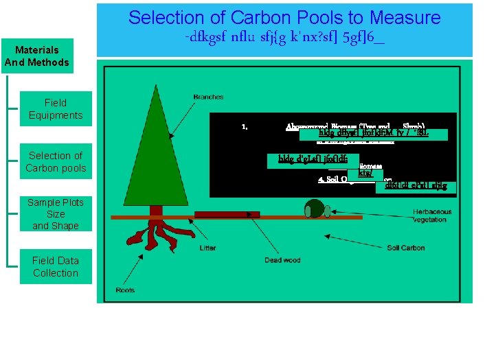 Selection of Carbon Pools to Measure Materials And Methods -dfkgsf nflu sfj{g k'nx? sf]