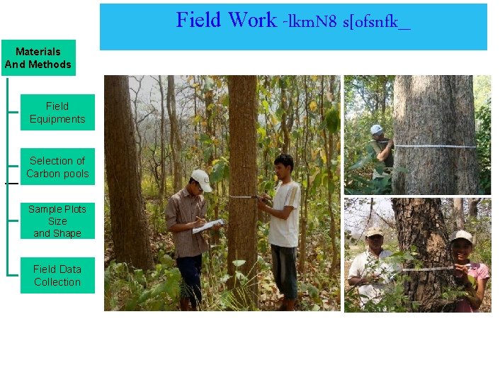 Field Work -lkm. N 8 s[ofsnfk_ Materials And Methods Field Equipments Selection of Carbon