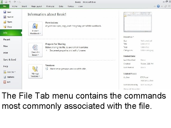 The File Tab menu contains the commands most commonly associated with the file. 