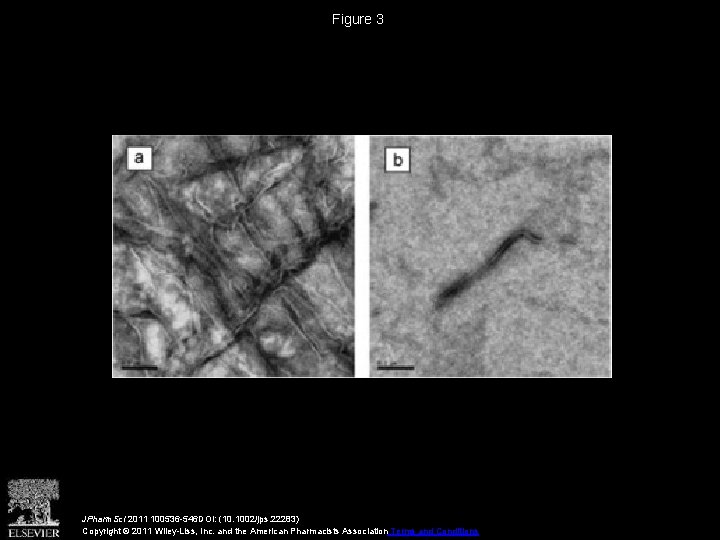 Figure 3 JPharm. Sci 2011 100536 -546 DOI: (10. 1002/jps. 22283) Copyright © 2011