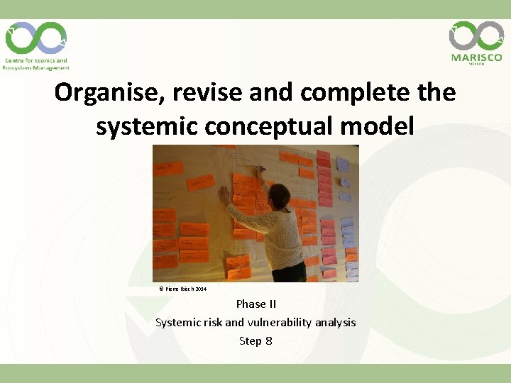 Organise, revise and complete the systemic conceptual model © Pierre Ibisch 2014 Phase II