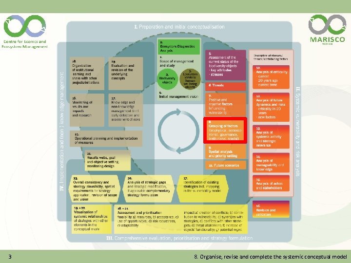 3 8. Organise, revise and complete the systemic conceptual model 