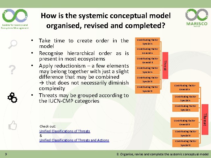 How is the systemic conceptual model organised, revised and completed? Contributing Factor Special A