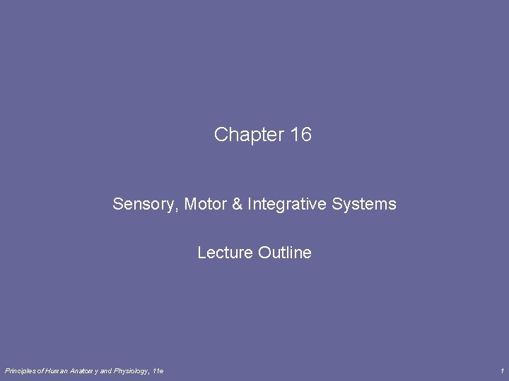 Chapter 16 Sensory, Motor & Integrative Systems Lecture Outline Principles of Human Anatomy and