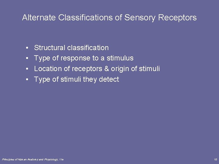 Alternate Classifications of Sensory Receptors • • Structural classification Type of response to a