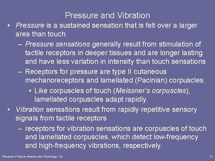 Pressure and Vibration • Pressure is a sustained sensation that is felt over a