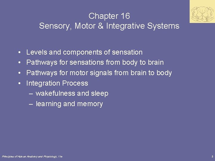 Chapter 16 Sensory, Motor & Integrative Systems • • Levels and components of sensation