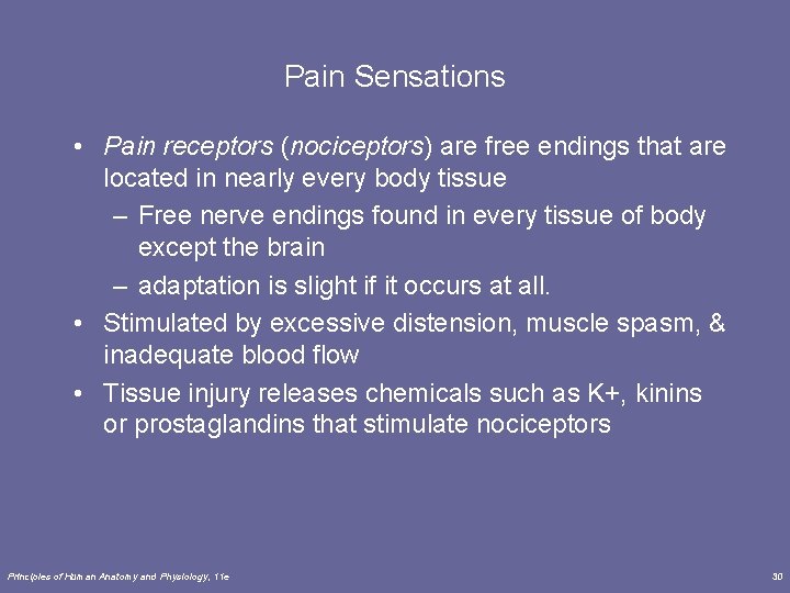 Pain Sensations • Pain receptors (nociceptors) are free endings that are located in nearly