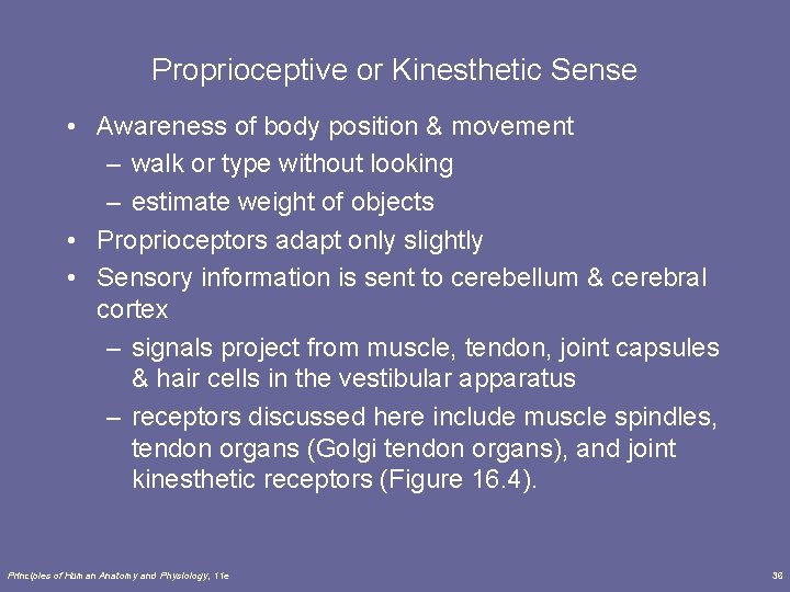 Proprioceptive or Kinesthetic Sense • Awareness of body position & movement – walk or