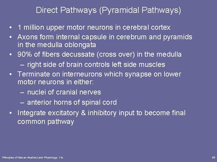 Direct Pathways (Pyramidal Pathways) • 1 million upper motor neurons in cerebral cortex •