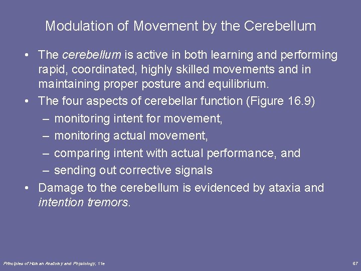 Modulation of Movement by the Cerebellum • The cerebellum is active in both learning