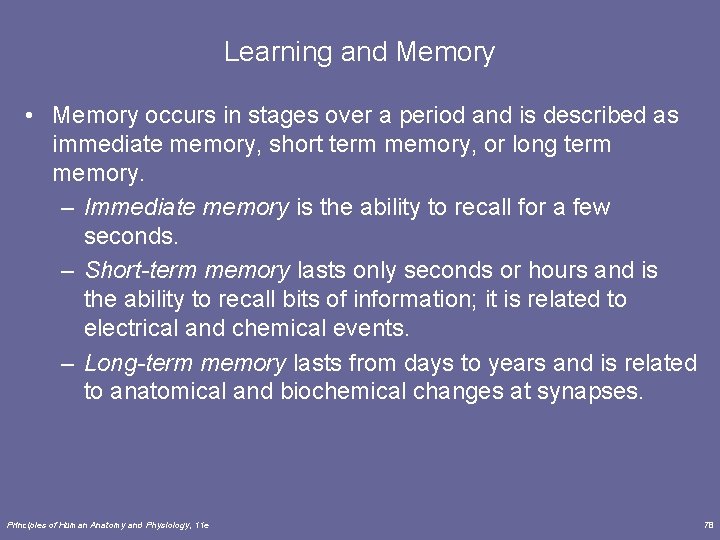 Learning and Memory • Memory occurs in stages over a period and is described