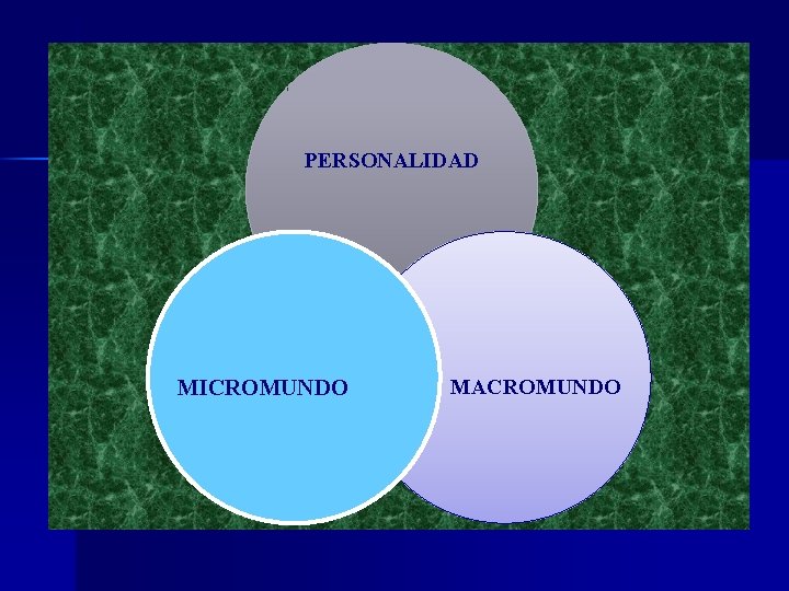 PERSONALIDAD MICROMUNDO MACROMUNDO 