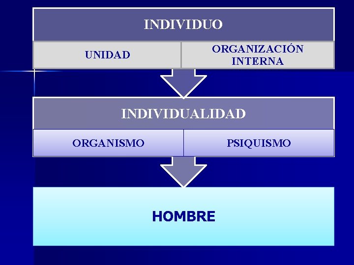 INDIVIDUO UNIDAD ORGANIZACIÓN INTERNA INDIVIDUALIDAD ORGANISMO PSIQUISMO HOMBRE 