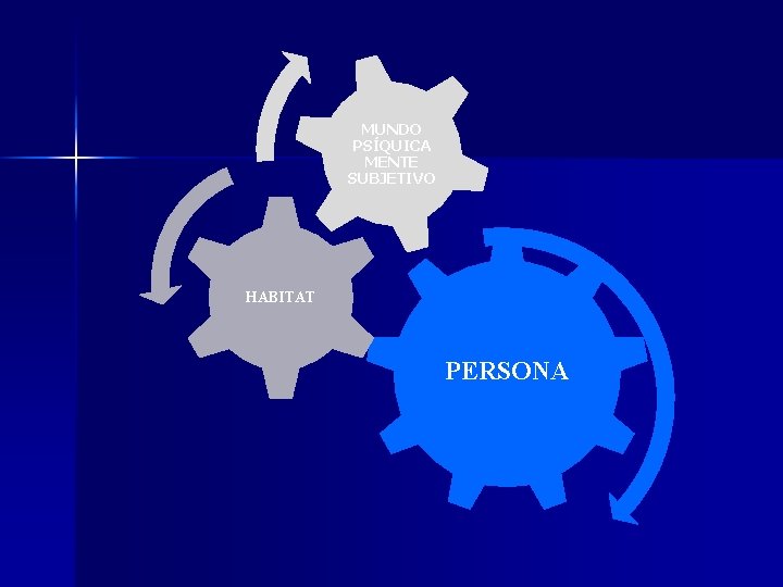 MUNDO PSÍQUICA MENTE SUBJETIVO HABITAT PERSONA 