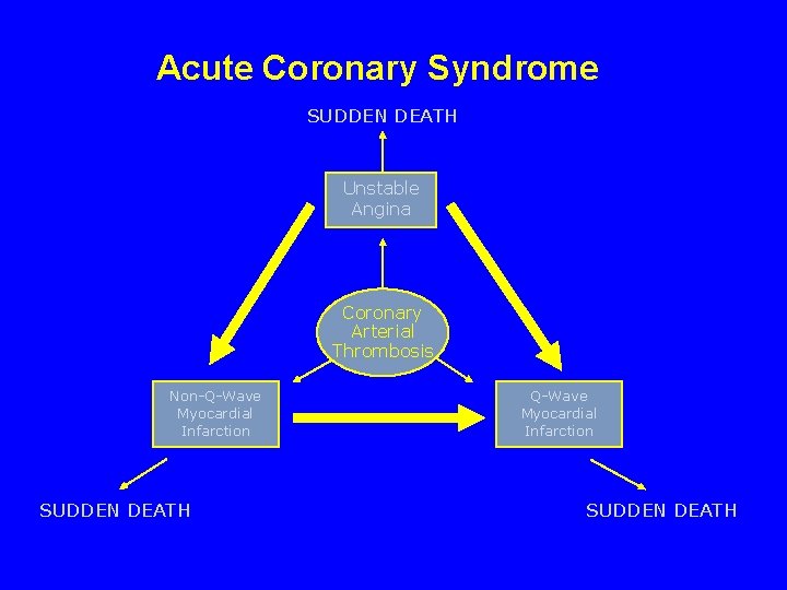 Acute Coronary Syndrome SUDDEN DEATH Unstable Angina Coronary Arterial Thrombosis Non-Q-Wave Myocardial Infarction SUDDEN