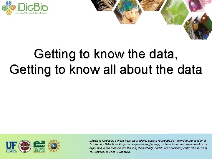 Getting to know the data, Getting to know all about the data i. Dig.