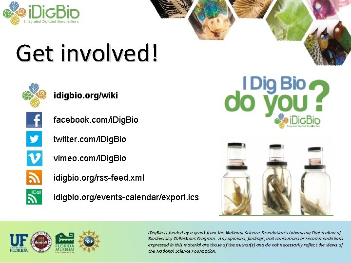 Get involved! idigbio. org/wiki facebook. com/i. Dig. Bio twitter. com/i. Dig. Bio vimeo. com/i.