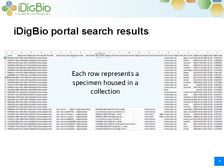 i. Dig. Bio portal search results Each row represents a specimen housed in a