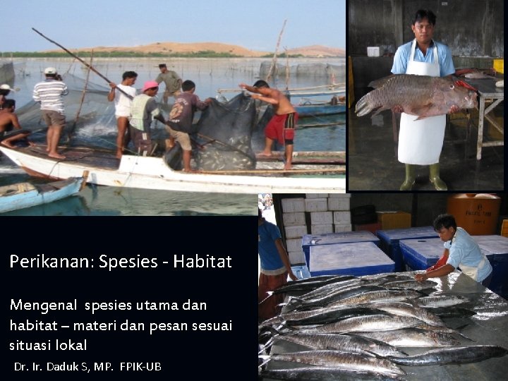 Perikanan: Spesies - Habitat Mengenal spesies utama dan habitat – materi dan pesan sesuai