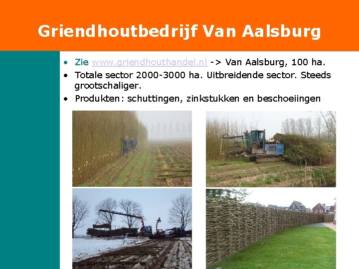 Griendhoutbedrijf Van Aalsburg • Zie www. griendhouthandel. nl -> Van Aalsburg, 100 ha. •