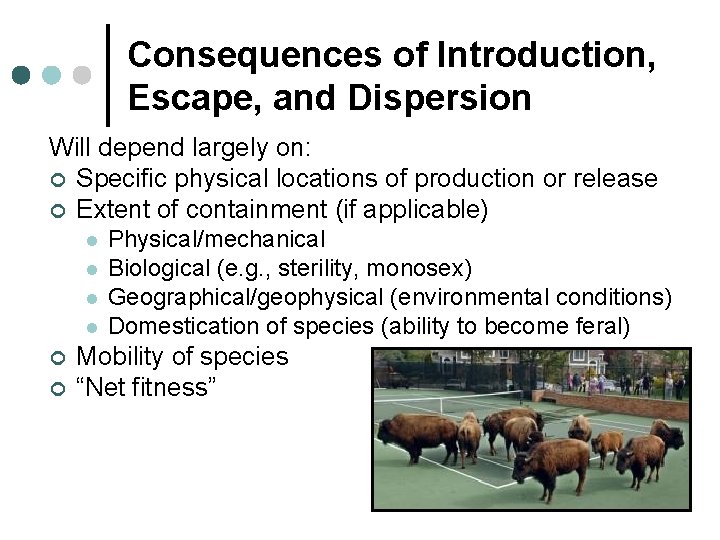 Consequences of Introduction, Escape, and Dispersion Will depend largely on: ¢ Specific physical locations