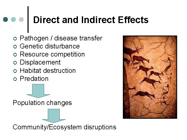 Direct and Indirect Effects ¢ ¢ ¢ Pathogen / disease transfer Genetic disturbance Resource