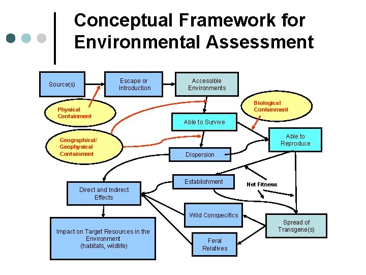 Conceptual Framework for Environmental Assessment Escape or Introduction Source(s) Physical Containment Geographical/ Geophysical Containment