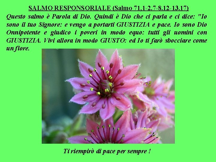 SALMO RESPONSORIALE (Salmo 71, 1 -2. 7 -8. 12 -13. 17) Questo salmo è SALMO RESPONSORIALE (Salmo 71, 1 -2. 7 -8. 12 -13. 17) Questo salmo è