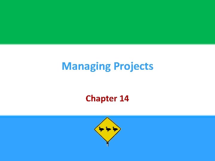 Managing Projects Chapter 14 