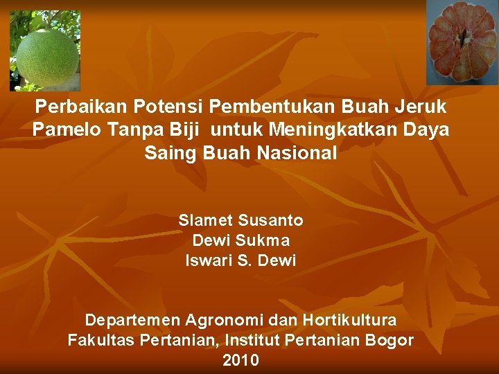 Perbaikan Potensi Pembentukan Buah Jeruk Pamelo Tanpa Biji untuk Meningkatkan Daya Saing Buah Nasional