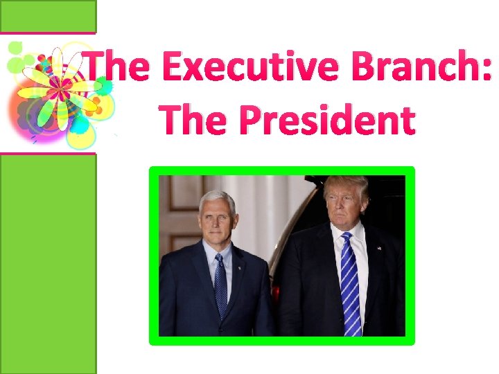 The Executive Branch: The President 