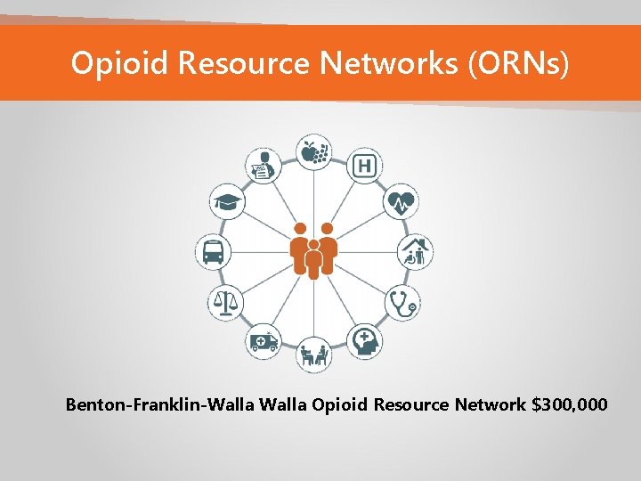 Opioid Resource Networks (ORNs) Benton-Franklin-Walla Opioid Resource Network $300, 000 