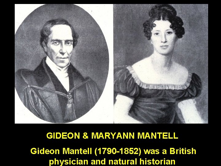GIDEON & MARYANN MANTELL Gideon Mantell (1790 -1852) was a British physician and natural