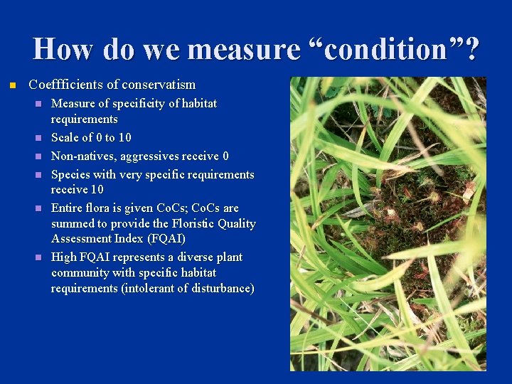 How do we measure “condition”? n Coeffficients of conservatism n n n Measure of