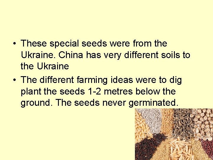  • These special seeds were from the Ukraine. China has very different soils