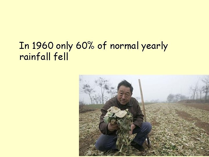 In 1960 only 60% of normal yearly rainfall fell 