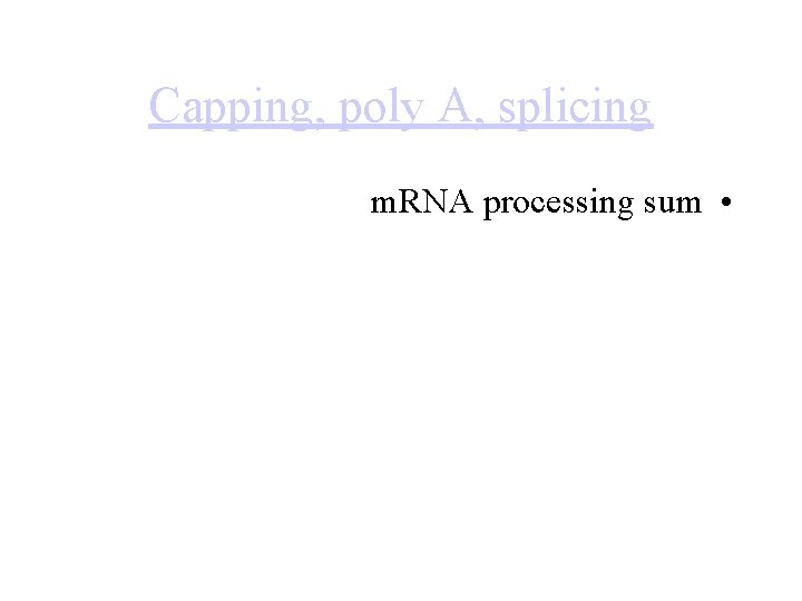 Capping, poly A, splicing m. RNA processing sum • 