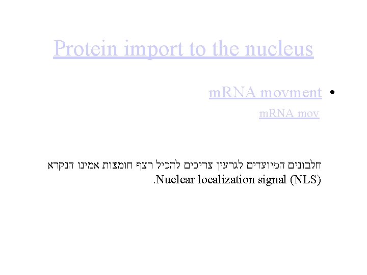Protein import to the nucleus m. RNA movment • m. RNA mov חלבונים המיועדים