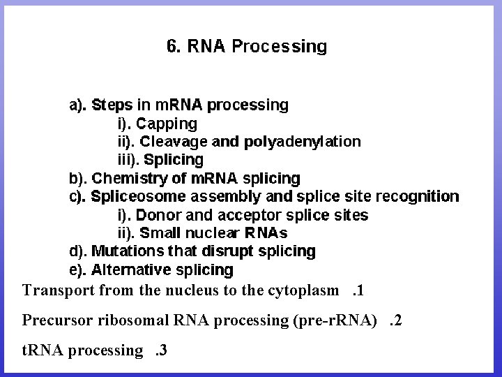 Transport from the nucleus to the cytoplasm. 1 Precursor ribosomal RNA processing (pre-r. RNA).