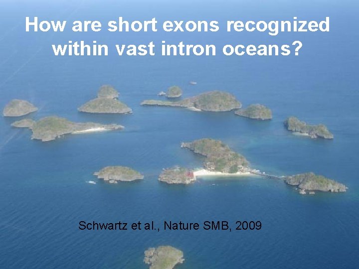 How are short exons recognized within vast intron oceans? Schwartz et al. , Nature