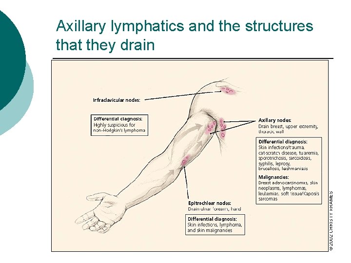 Axillary lymphatics and the structures that they drain 