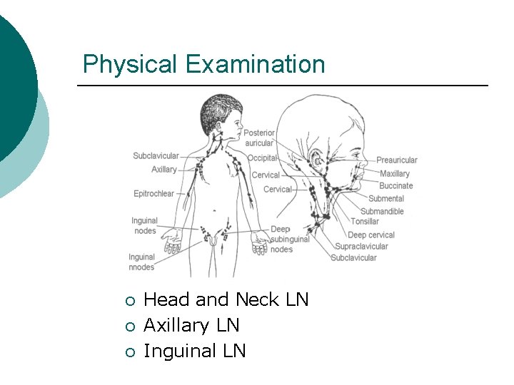 Physical Examination ¡ ¡ ¡ Head and Neck LN Axillary LN Inguinal LN 