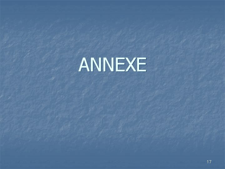 ANNEXE 17 