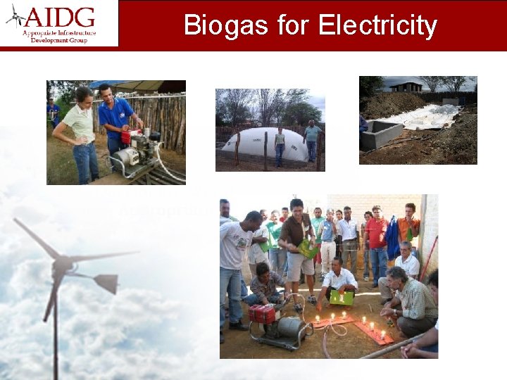 Biogas for Electricity 