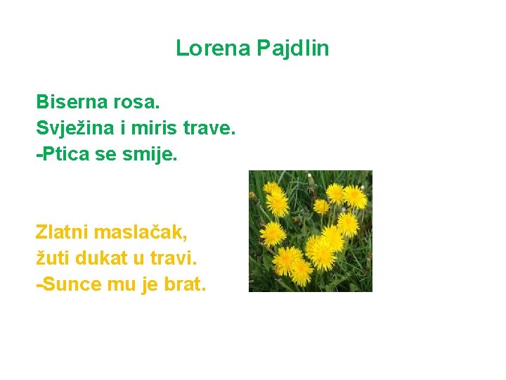 Lorena Pajdlin Biserna rosa. Svježina i miris trave. -Ptica se smije. Zlatni maslačak, žuti