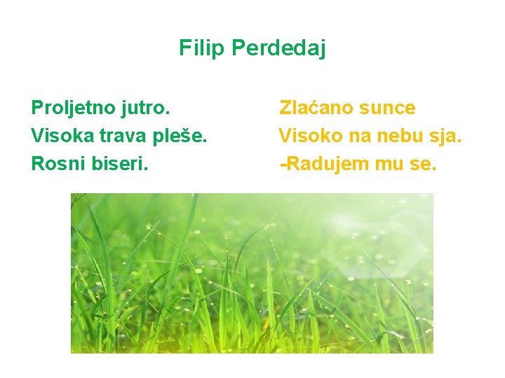 Filip Perdedaj Proljetno jutro. Visoka trava pleše. Rosni biseri. Zlaćano sunce Visoko na nebu