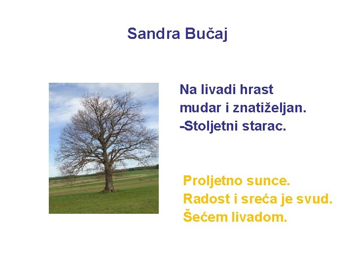 Sandra Bučaj Na livadi hrast mudar i znatiželjan. -Stoljetni starac. Proljetno sunce. Radost i