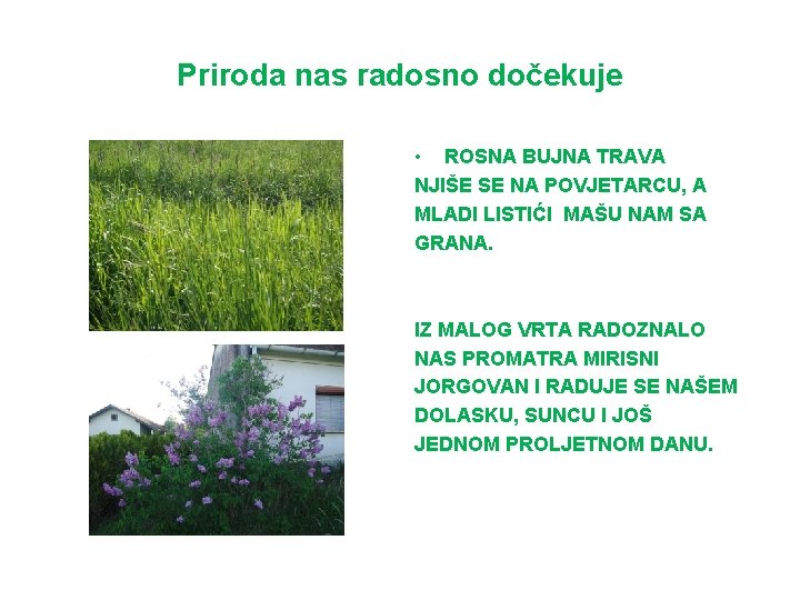 Priroda nas radosno dočekuje • ROSNA BUJNA TRAVA NJIŠE SE NA POVJETARCU, A MLADI