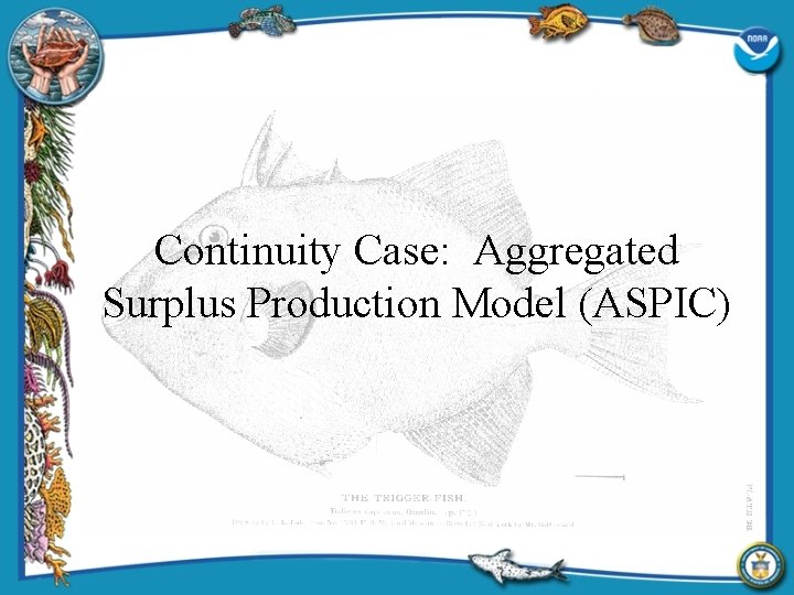 Continuity Case: Aggregated Surplus Production Model (ASPIC) 